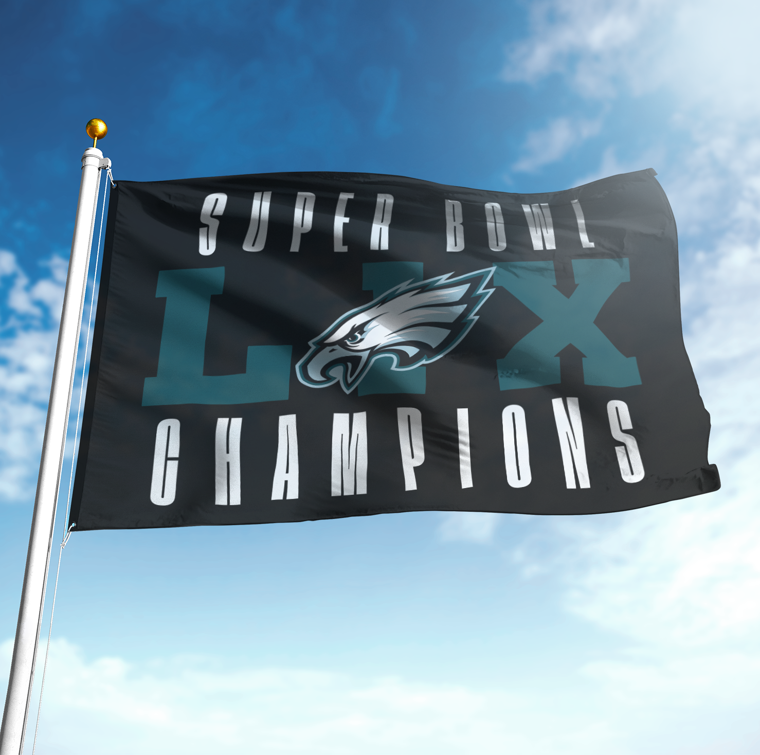Philadelphia Eagles Champions Flag for Fans