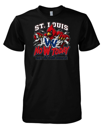 St. Louis Basketball Fan T-Shirt - Gateway City Hoops Pride Tee - Red Bird City Basketball Supporter Shirt